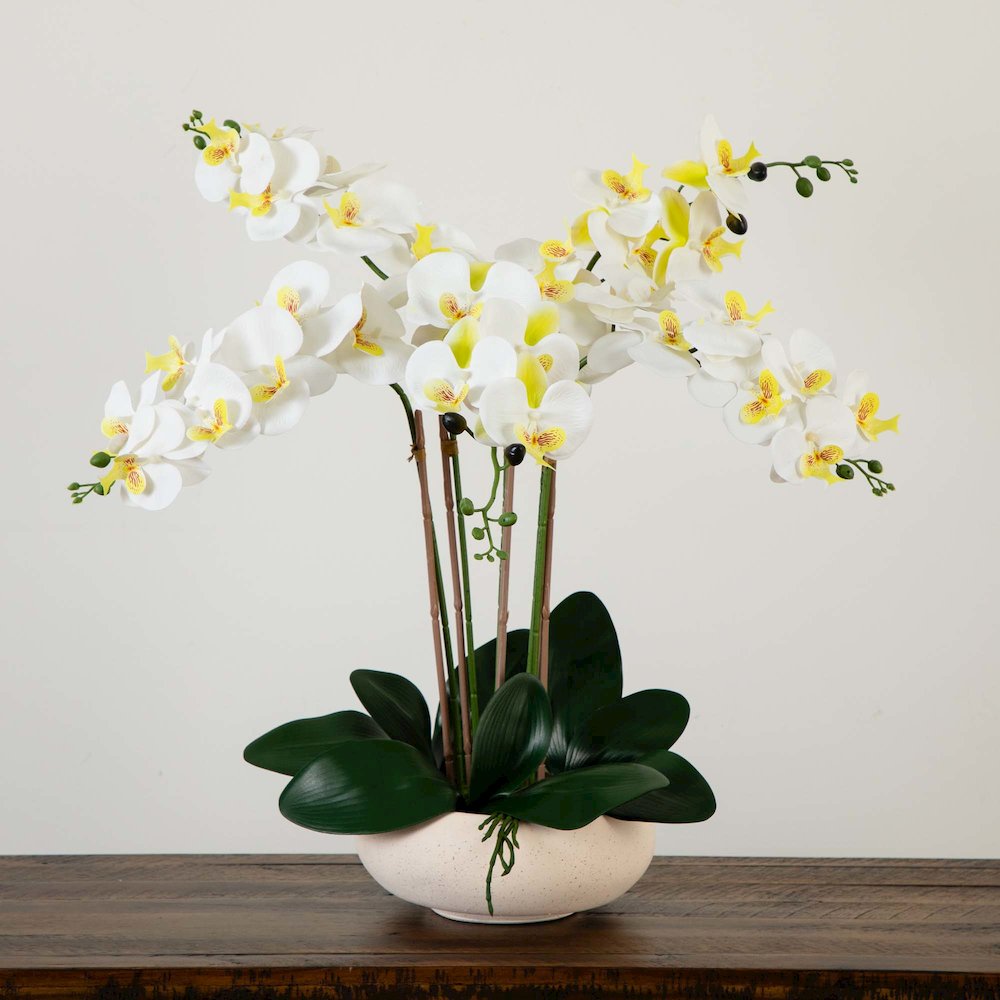 23in. Artificial Phalaenopsis Orchid Arrangement in White Ceramic Planter. Picture 6
