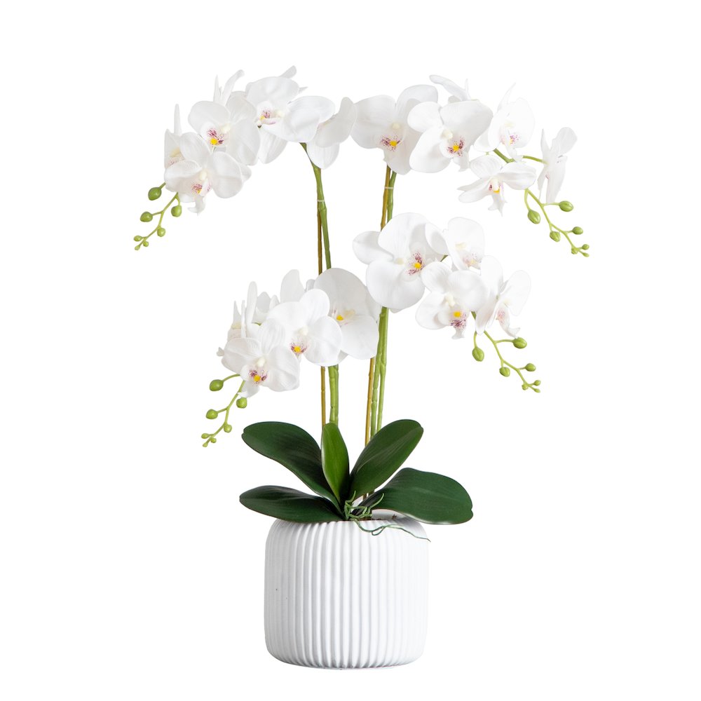 26in. Artificial Phalaenopsis Orchid Arrangement in Decorative Ceramic Vase. Picture 8