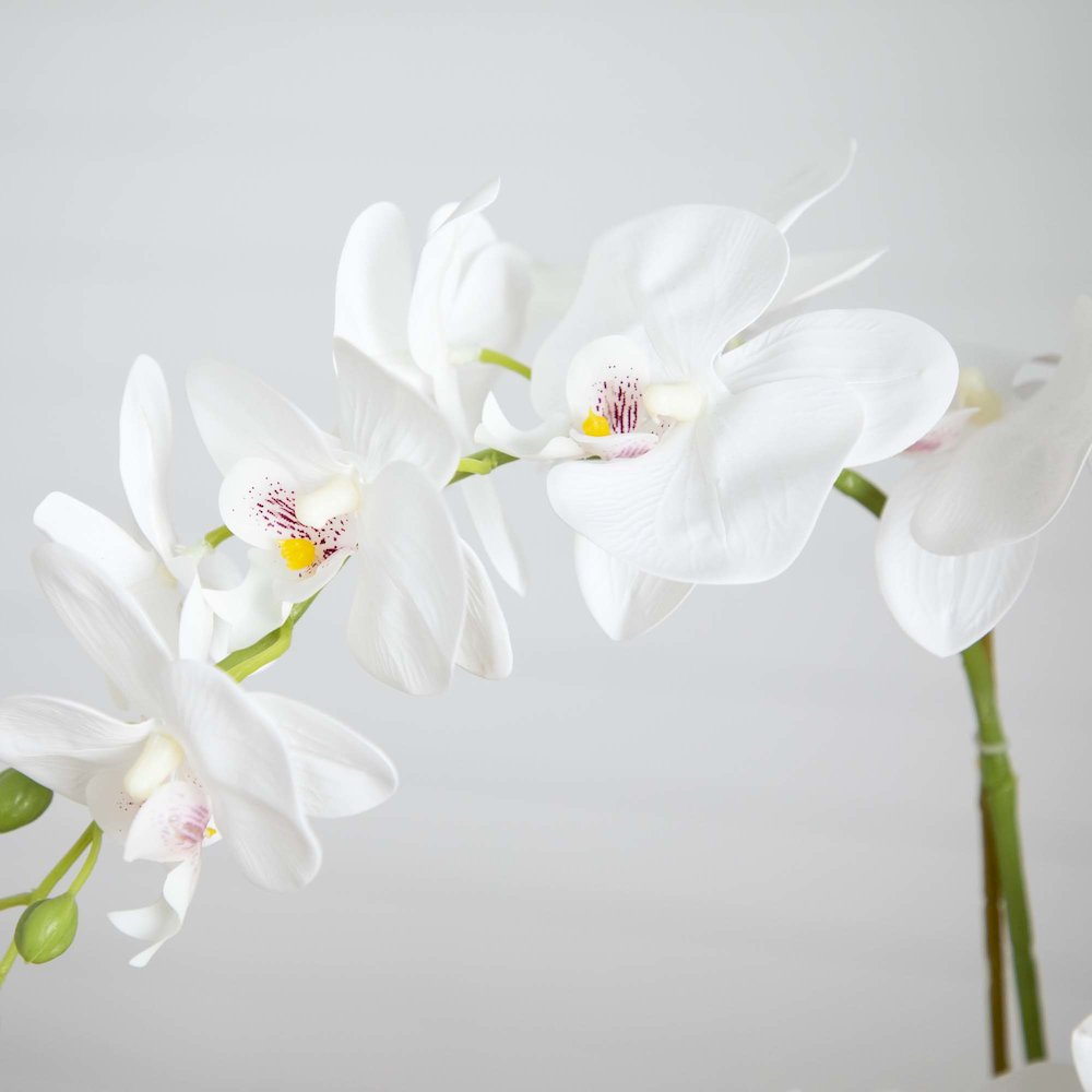 26in. Artificial Phalaenopsis Orchid Arrangement in Decorative Ceramic Vase. Picture 2