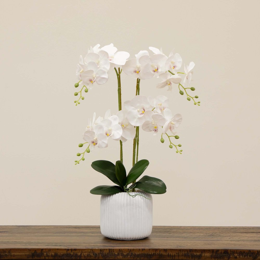 26in. Artificial Phalaenopsis Orchid Arrangement in Decorative Ceramic Vase. Picture 4