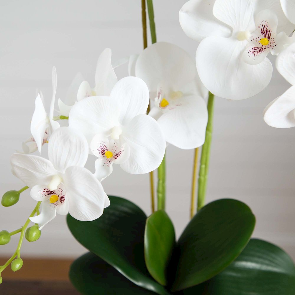 26in. Artificial Phalaenopsis Orchid Arrangement in Decorative Ceramic Vase. Picture 5