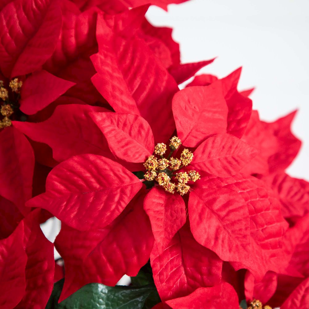 19in. Artificial Lush Poinsettia Arrangement in Red Wrapped Planter. Picture 2