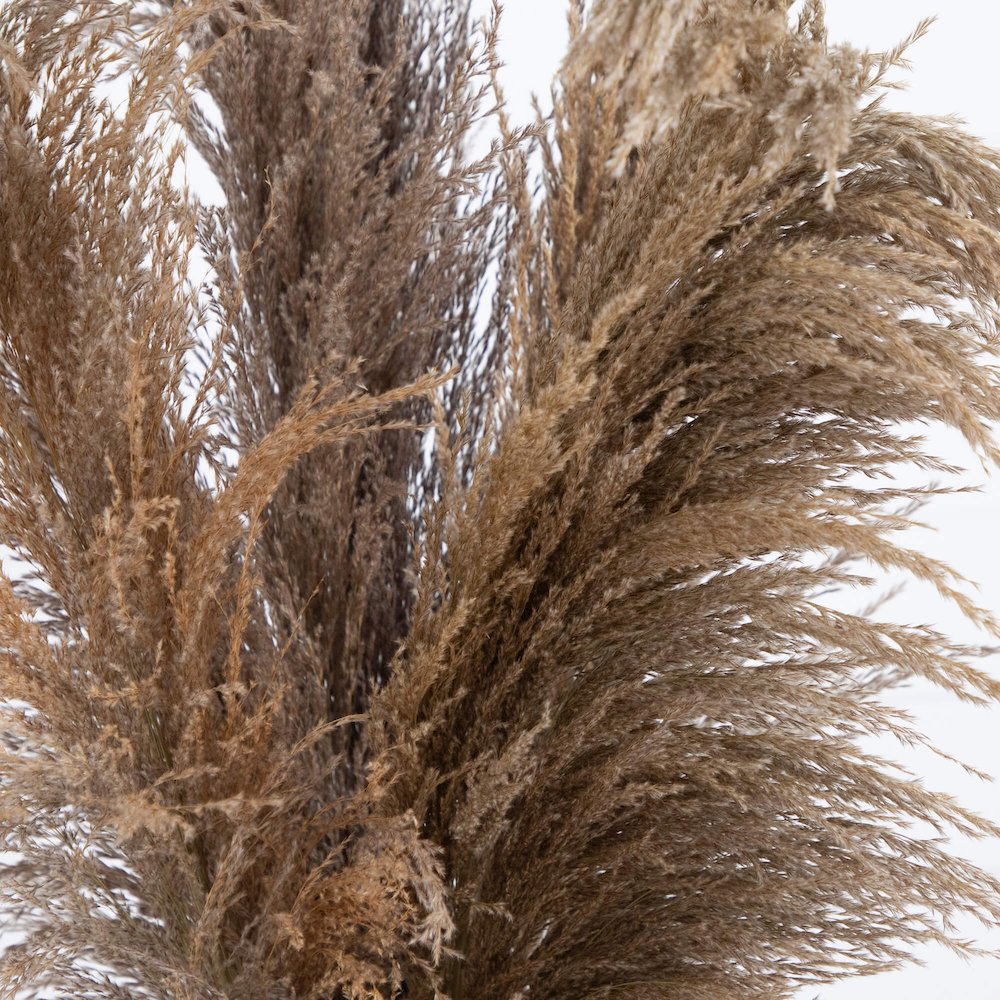 30in. Dried Natural Pampas Arrangement in Ceramic Vase. Picture 2