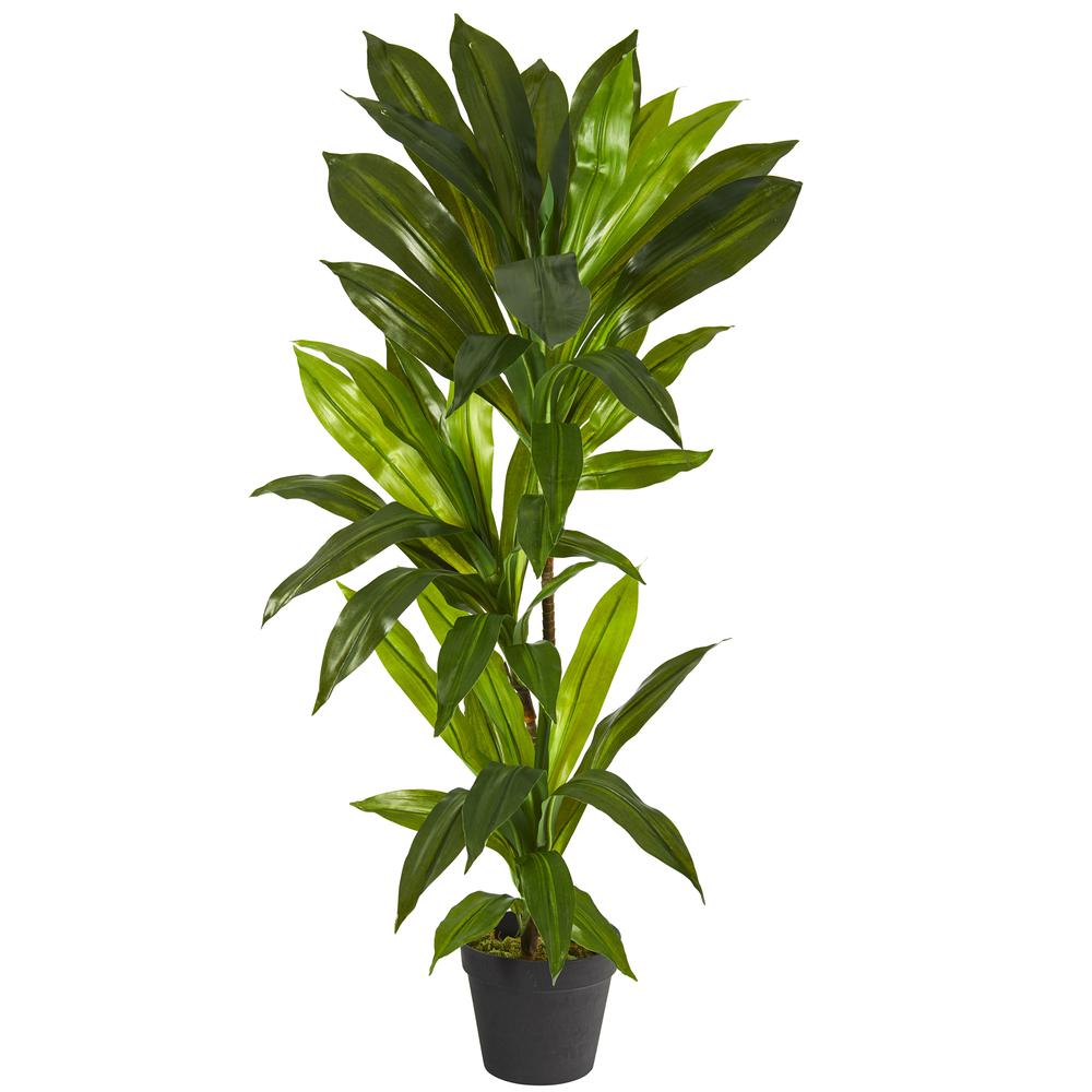 3ft. Dracaena Artificial Plant (Real Touch). Picture 1