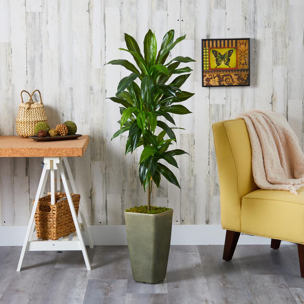 4.5ft. Dracaena Artificial Plant in Green Planter (Real Touch). Picture 3