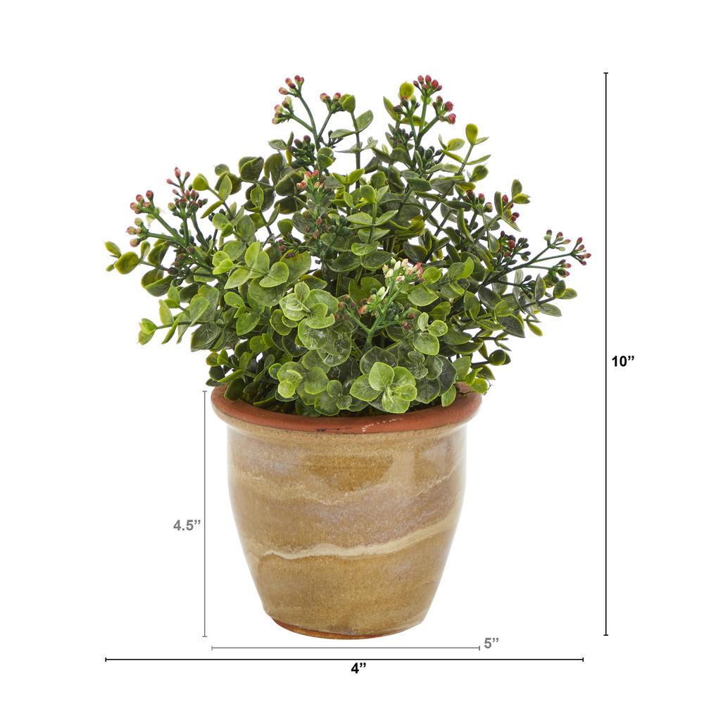 10in. Eucalyptus and Sedum Succulent Artificial Plant in Ceramic Planter. Picture 2