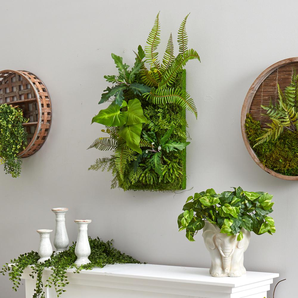 24in. x 16in. Mixed Foliage Artificial Living Wall. Picture 3
