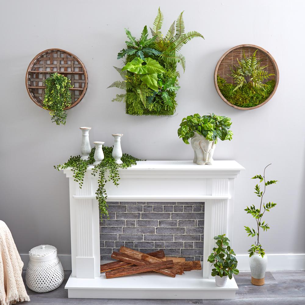 24in. x 16in. Mixed Foliage Artificial Living Wall. Picture 4