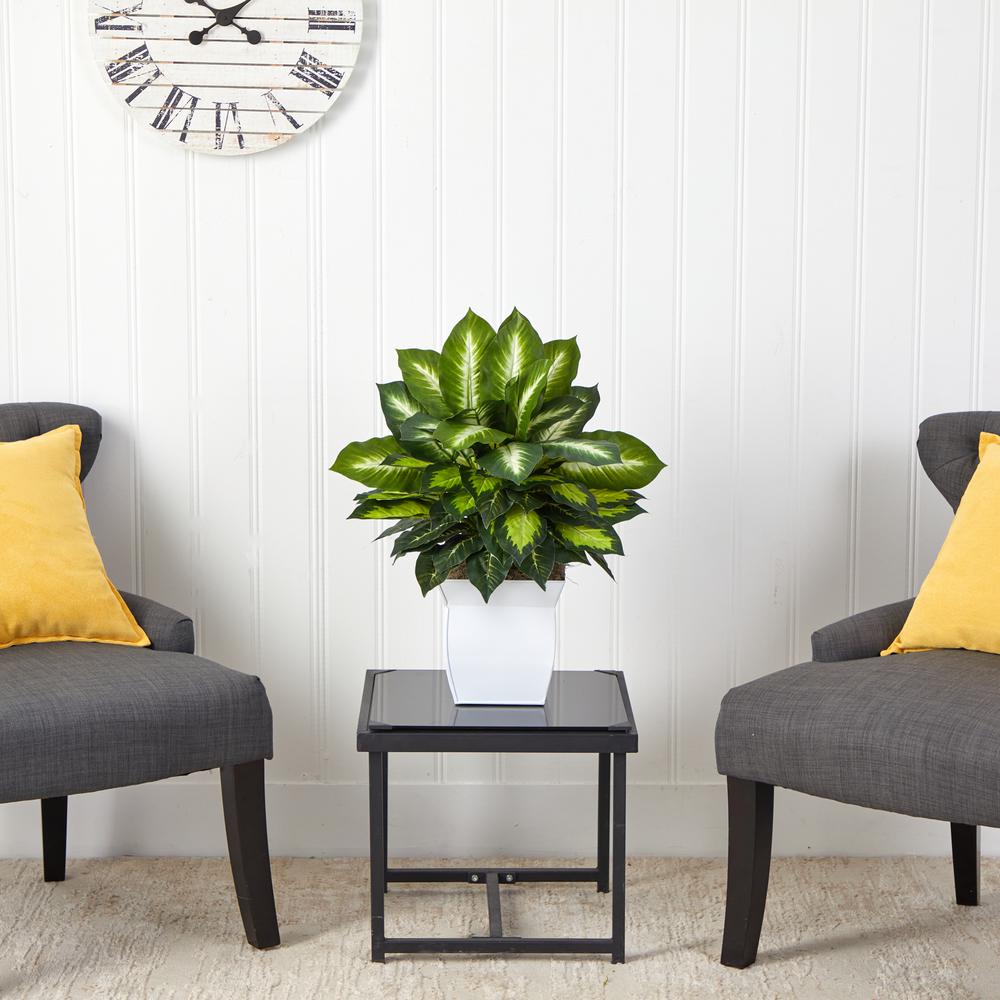 2ft. Golden Dieffenbachia Artificial Plant in White Metal Planter. Picture 3