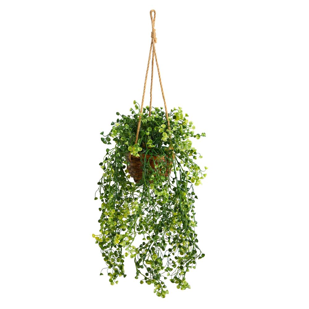 20in. Baby Tear Artificial Plant in Hanging Basket. Picture 1
