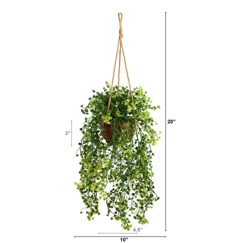 20in. Baby Tear Artificial Plant in Hanging Basket. Picture 3