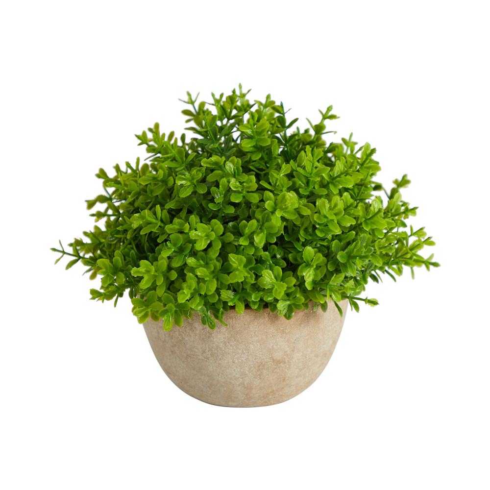 5in. Boxwood Artificial Plant in Decorative Planter. Picture 1