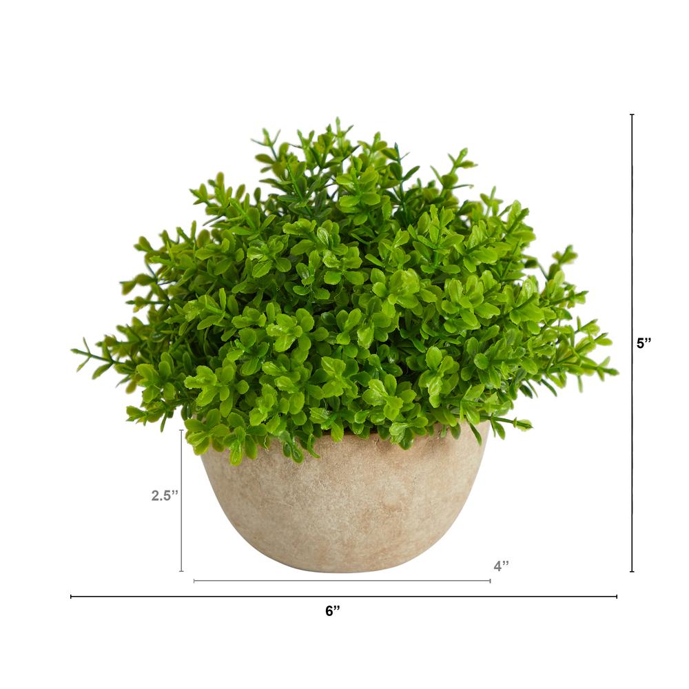 5in. Boxwood Artificial Plant in Decorative Planter. Picture 2