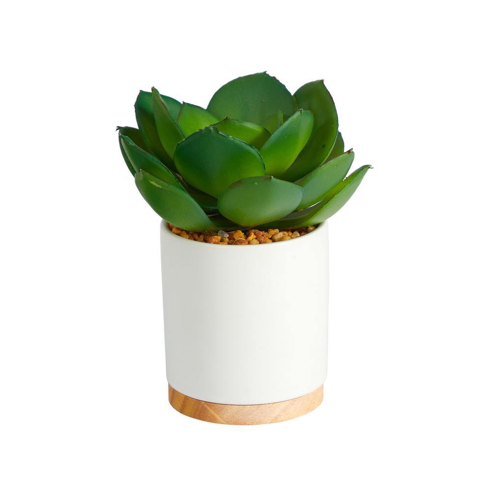 6in. Succulent Artificial Plant in White Ceramic Planter. Picture 1