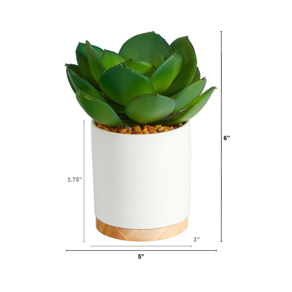 6in. Succulent Artificial Plant in White Ceramic Planter. Picture 2
