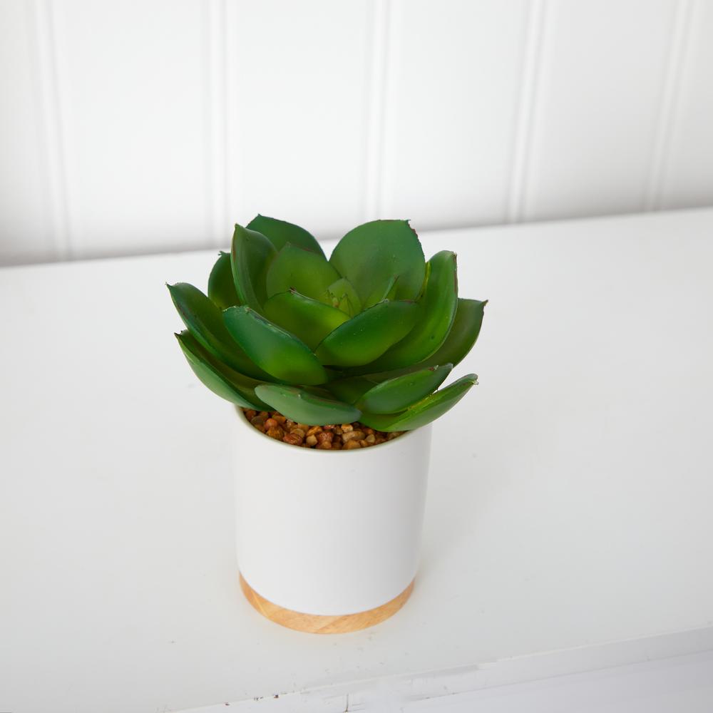 6in. Succulent Artificial Plant in White Ceramic Planter. Picture 3