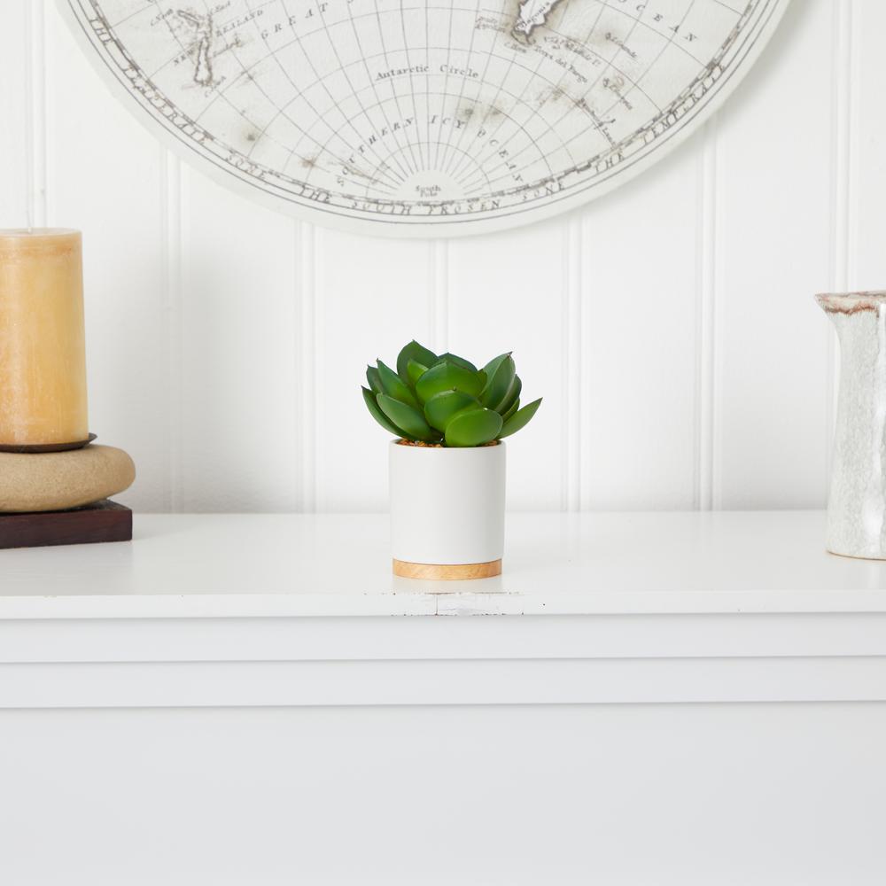 6in. Succulent Artificial Plant in White Ceramic Planter. Picture 4