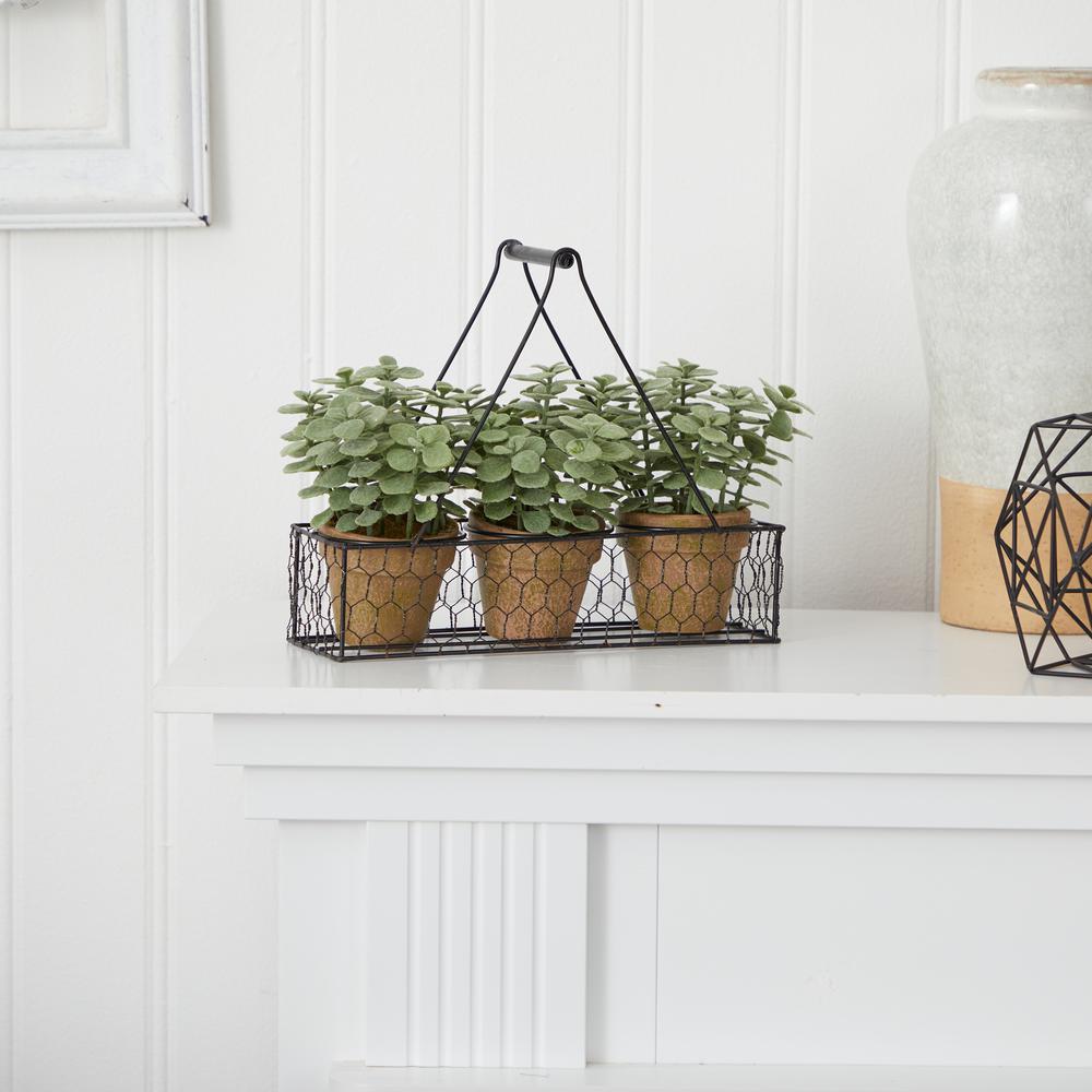 7in. Mini Jade Garden Artificial Plant in Hanging Planter. Picture 3