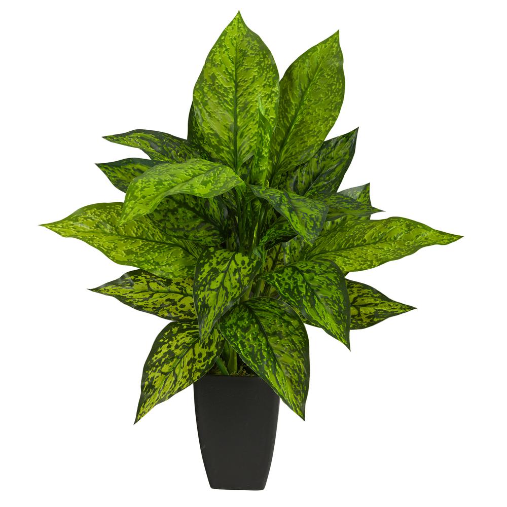 21in. Dieffenbachia Artificial Plant in Black Planter. Picture 1