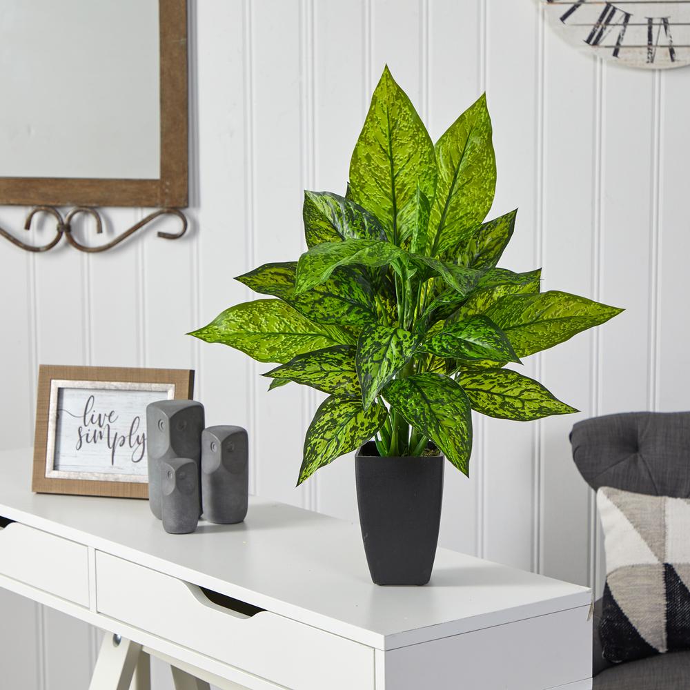21in. Dieffenbachia Artificial Plant in Black Planter. Picture 3