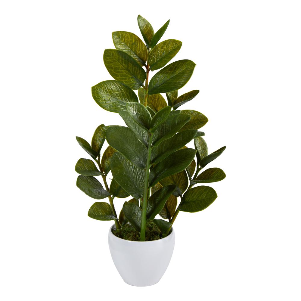 22in. Zamioculcas Artificial Plant in White Planter. Picture 1