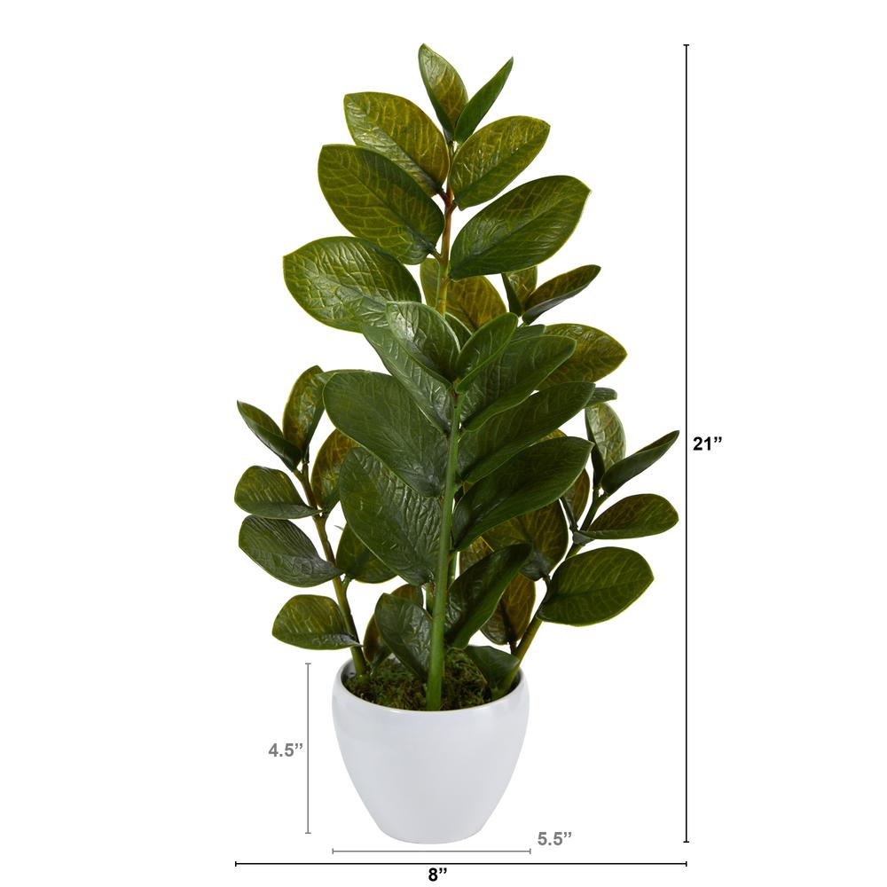 22in. Zamioculcas Artificial Plant in White Planter. Picture 4