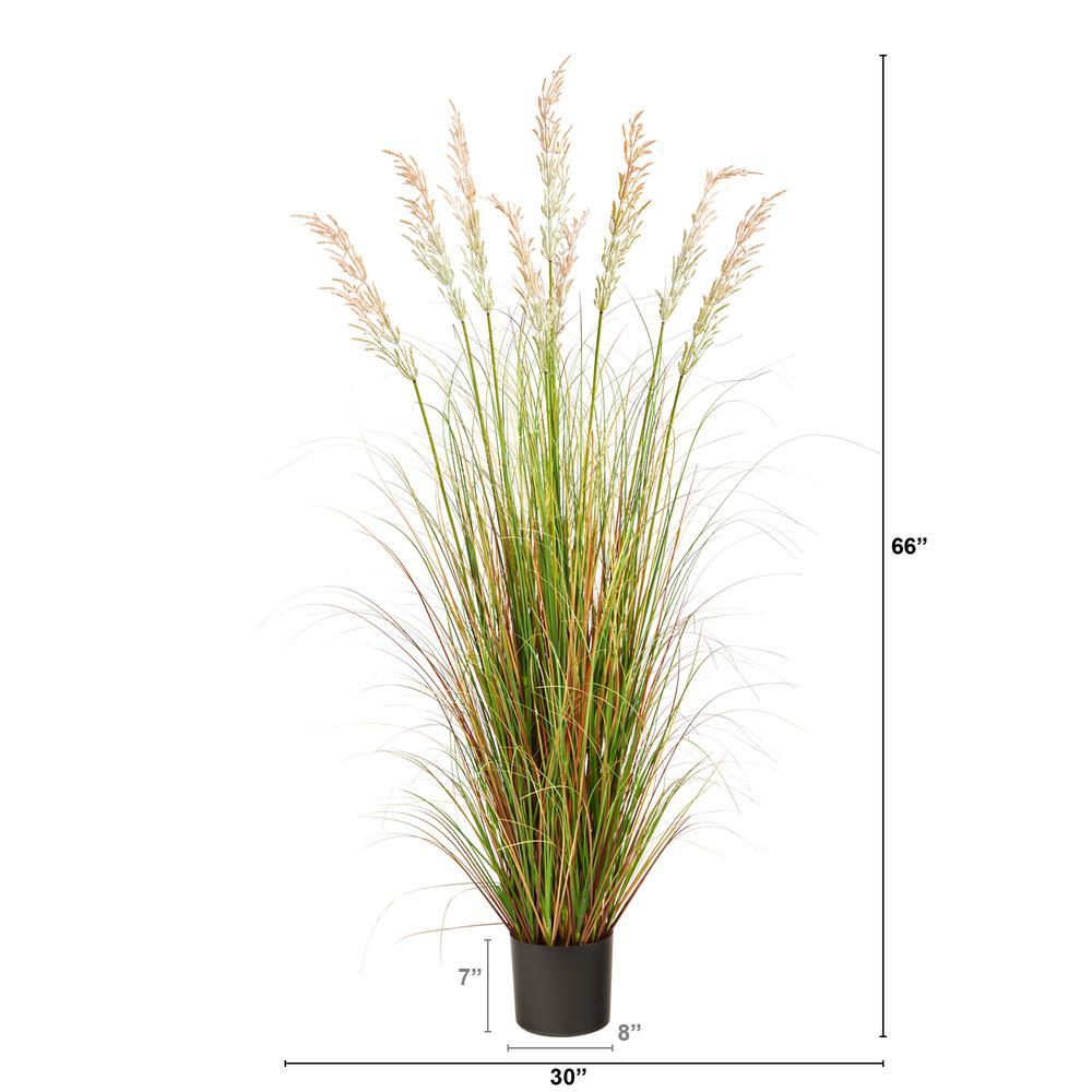 5.5ft. Plume Grass Artificial Plant. Picture 2