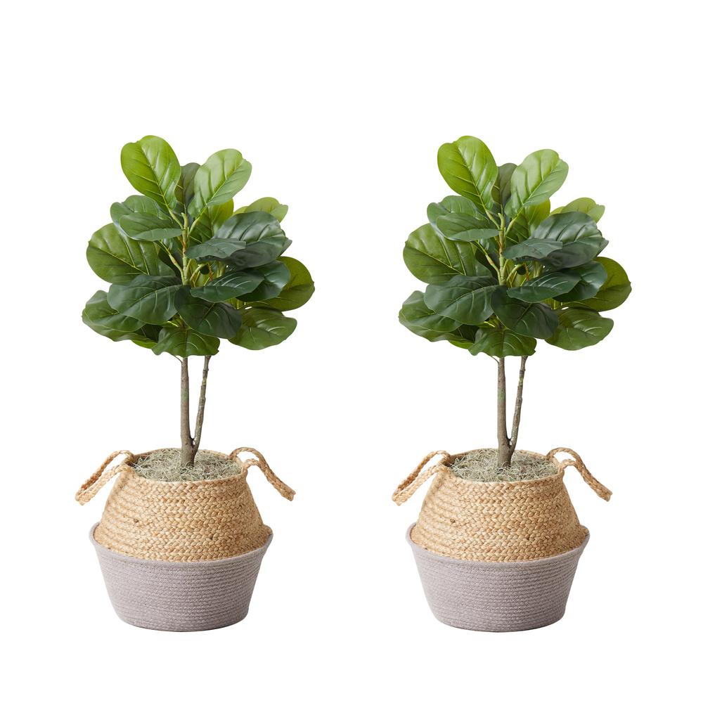 Artificial Fiddle Leaf Fig Tree with Handmade Cotton & Jute Planter - Set of 2. Picture 1