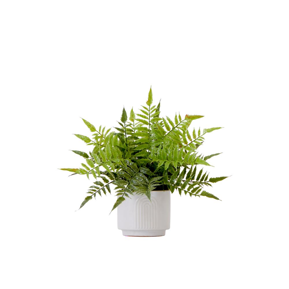 13in. Artificial Boston Fern Plant with Decorative Planter. Picture 1