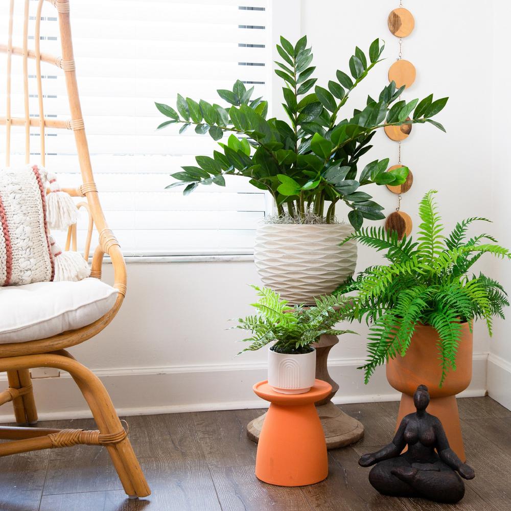 13in. Artificial Boston Fern Plant with Decorative Planter. Picture 5