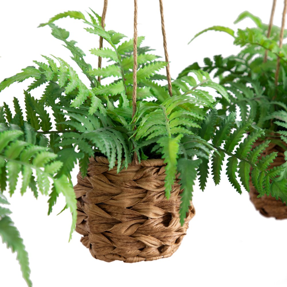 10in. UV Resistant Artificial Boston Fern in Hanging Wicker Basket Set of 3. Picture 2