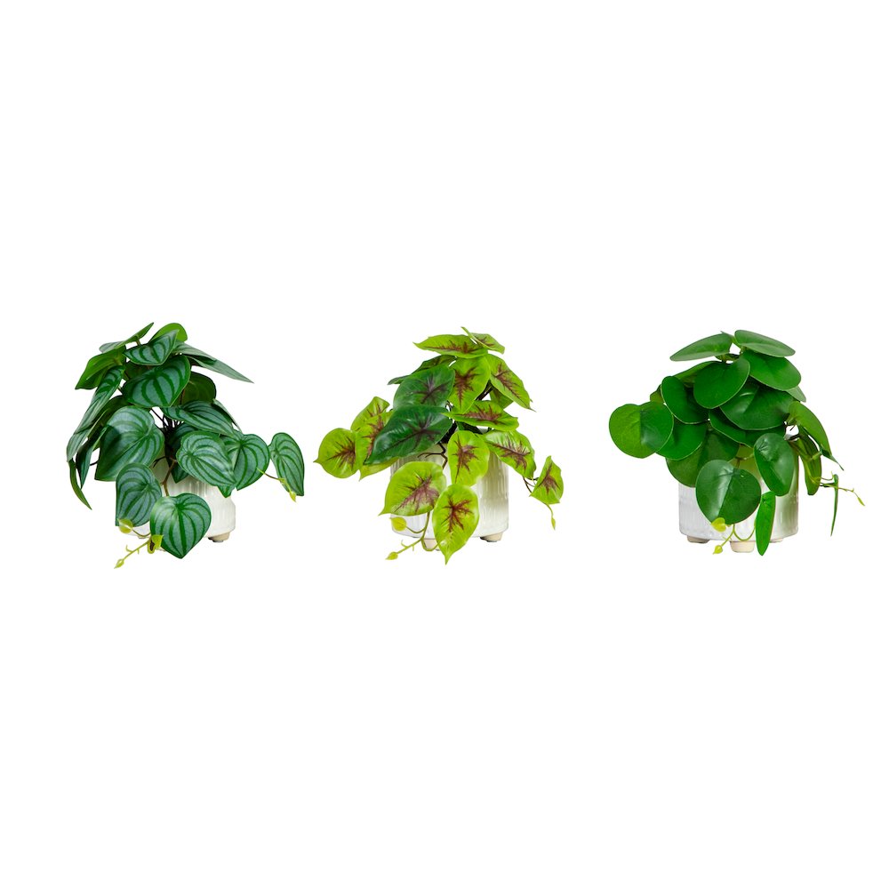 8in. Artificial Mixed Greens in Ceramic Planter- Set of 3. Picture 8