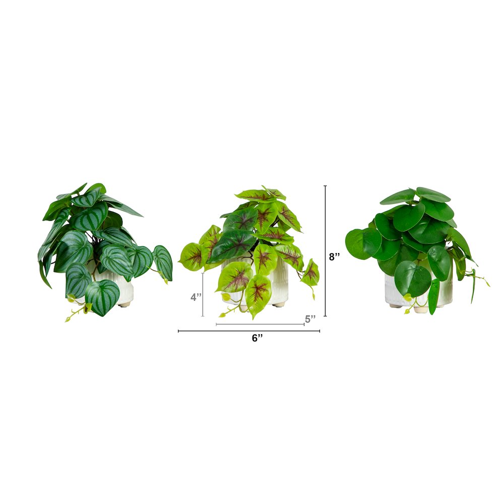 8in. Artificial Mixed Greens in Ceramic Planter- Set of 3. Picture 1