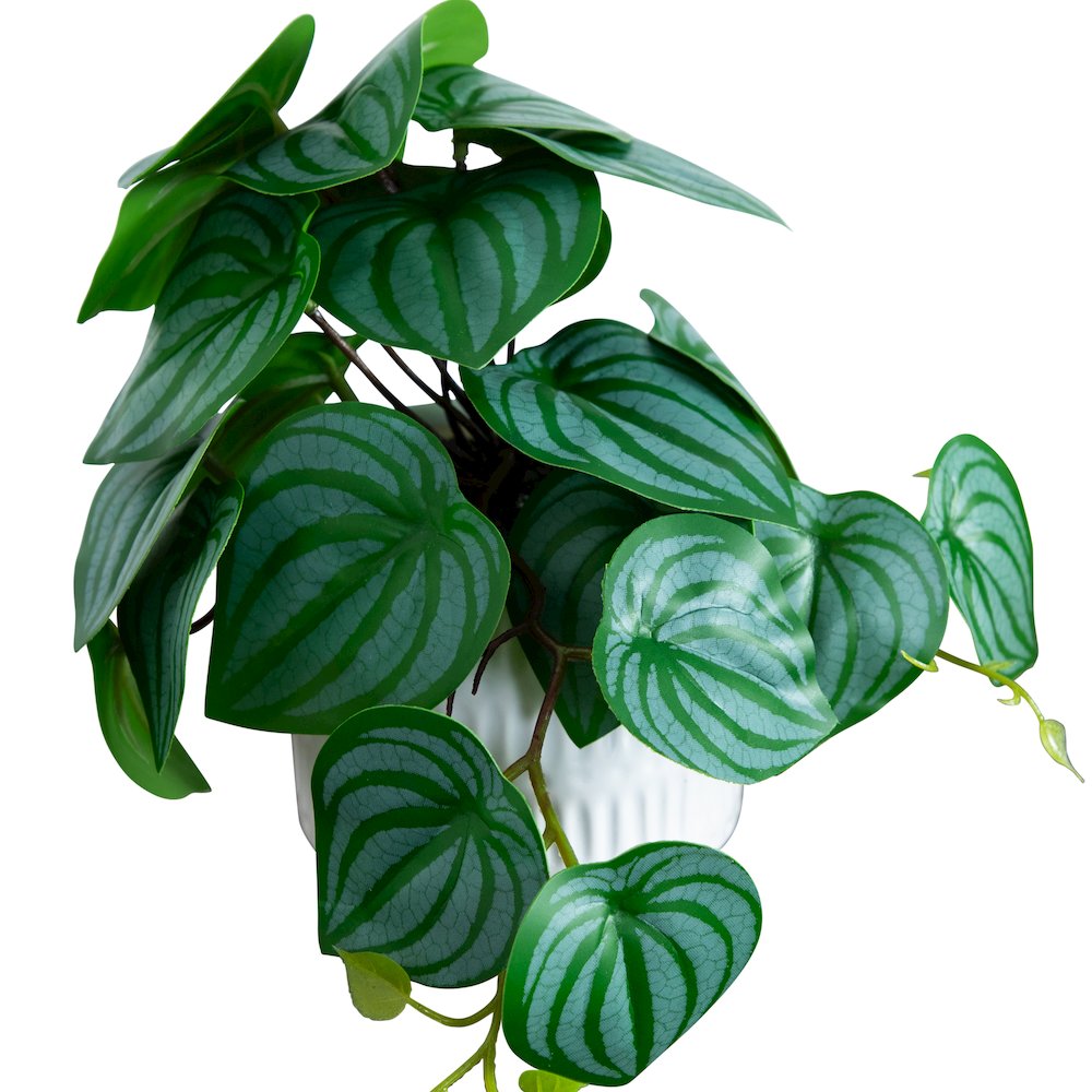 8in. Artificial Mixed Greens in Ceramic Planter- Set of 3. Picture 2