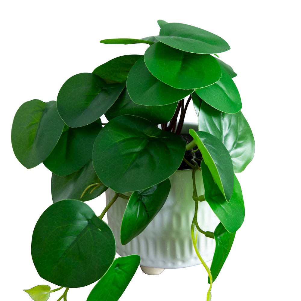 8in. Artificial Mixed Greens in Ceramic Planter- Set of 3. Picture 9