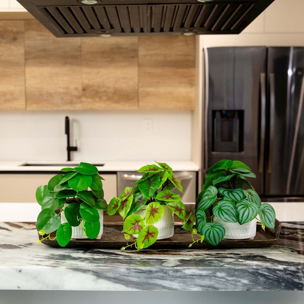 8in. Artificial Mixed Greens in Ceramic Planter- Set of 3. Picture 7
