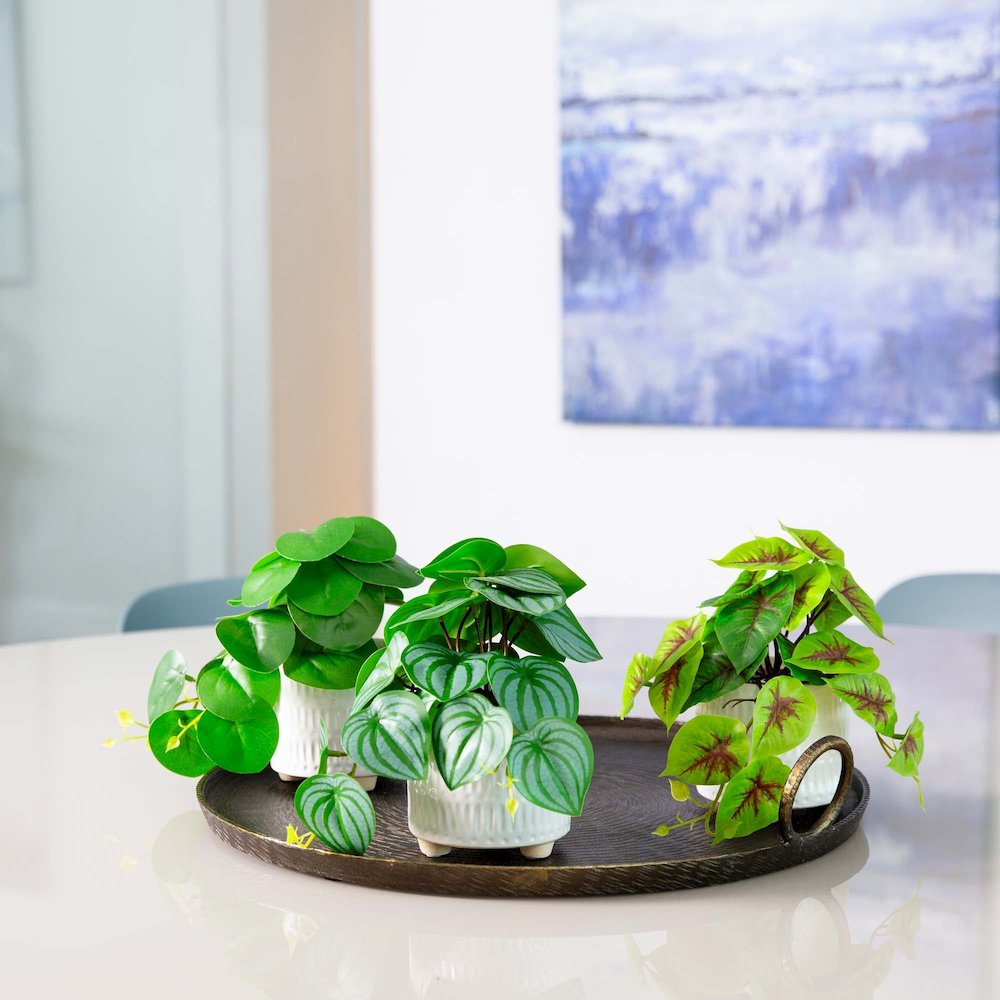 8in. Artificial Mixed Greens in Ceramic Planter- Set of 3. Picture 10