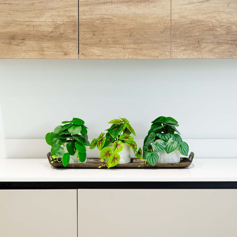 8in. Artificial Mixed Greens in Ceramic Planter- Set of 3. Picture 11