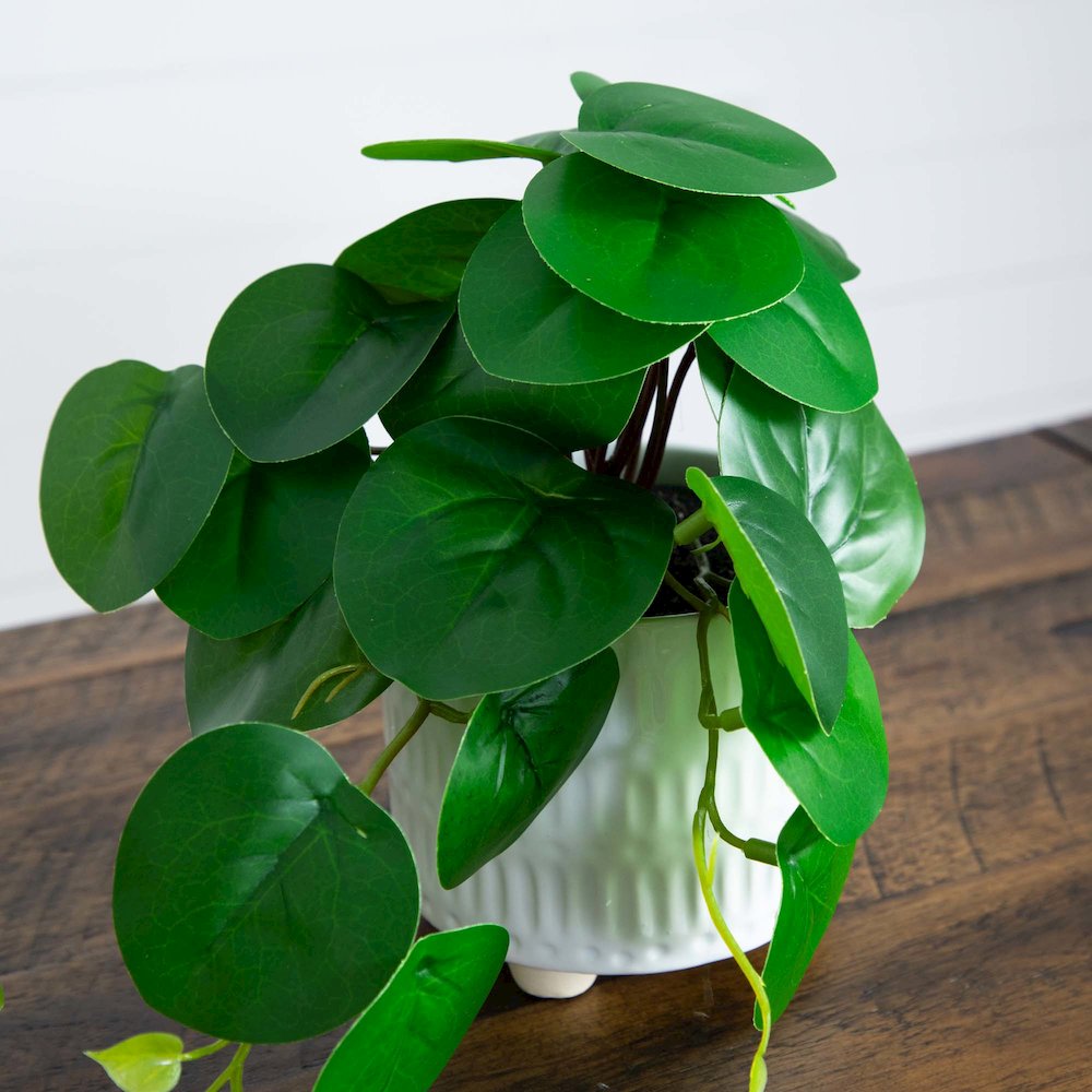 8in. Artificial Mixed Greens in Ceramic Planter- Set of 3. Picture 4