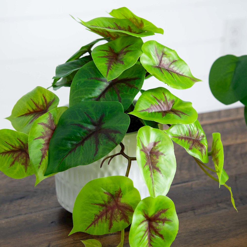8in. Artificial Mixed Greens in Ceramic Planter- Set of 3. Picture 5