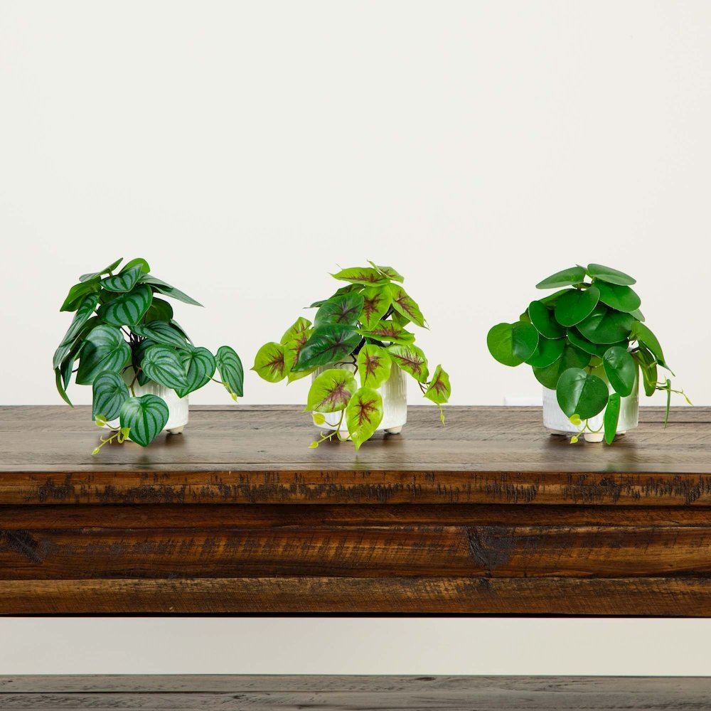 8in. Artificial Mixed Greens in Ceramic Planter- Set of 3. Picture 6