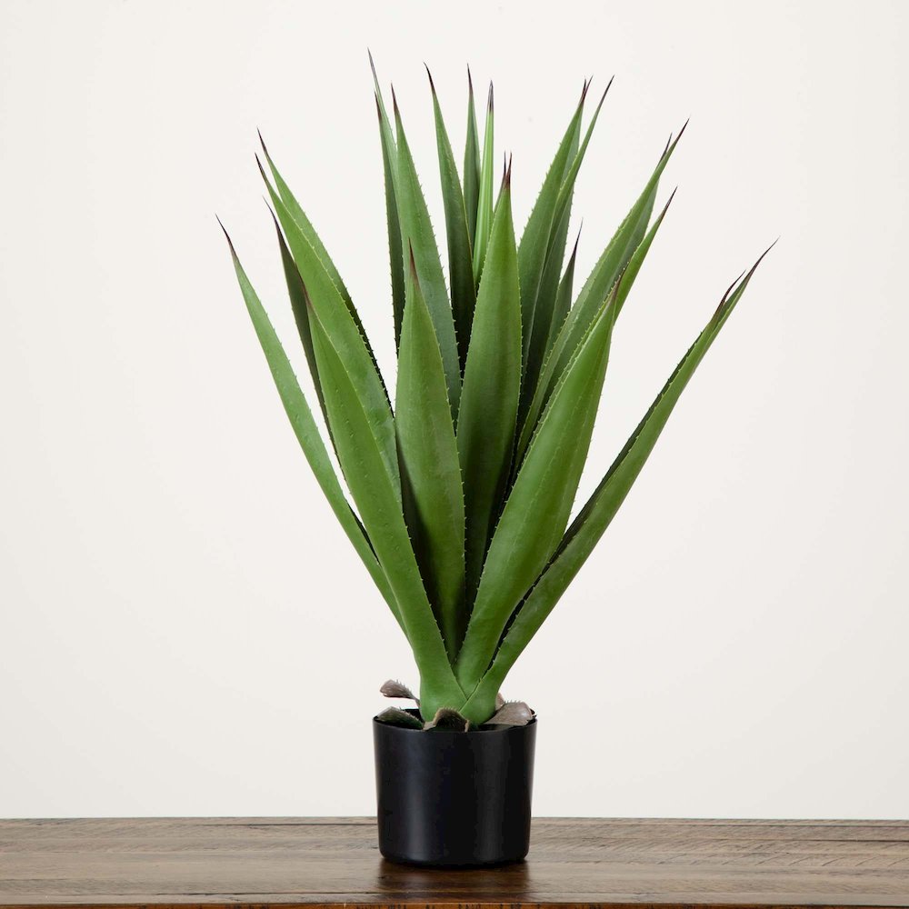 28in. Artificial Agave Plant. Picture 4