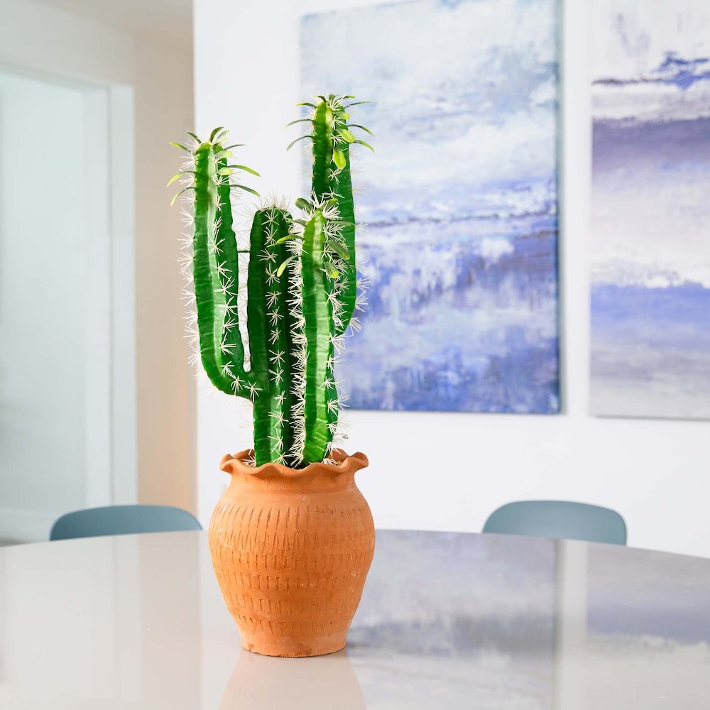 28in. Artificial Cactus in Terracotta Planter. Picture 7