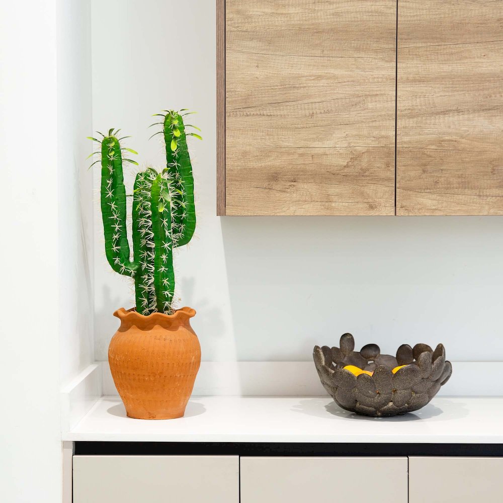 28in. Artificial Cactus in Terracotta Planter. Picture 5
