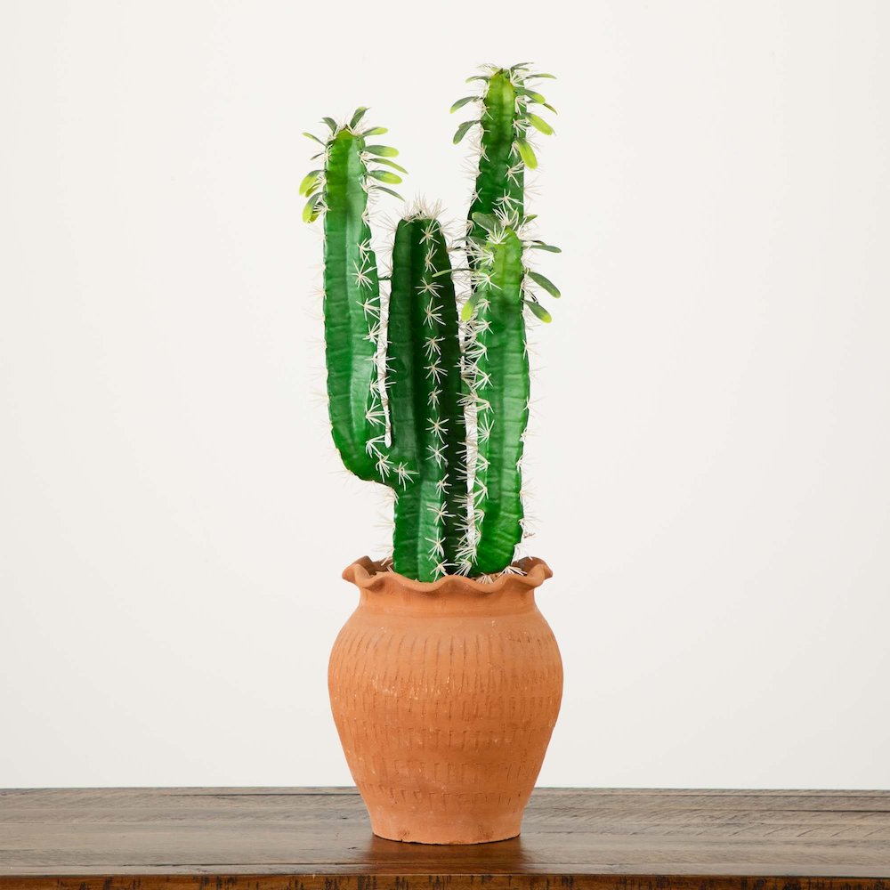 28in. Artificial Cactus in Terracotta Planter. Picture 1