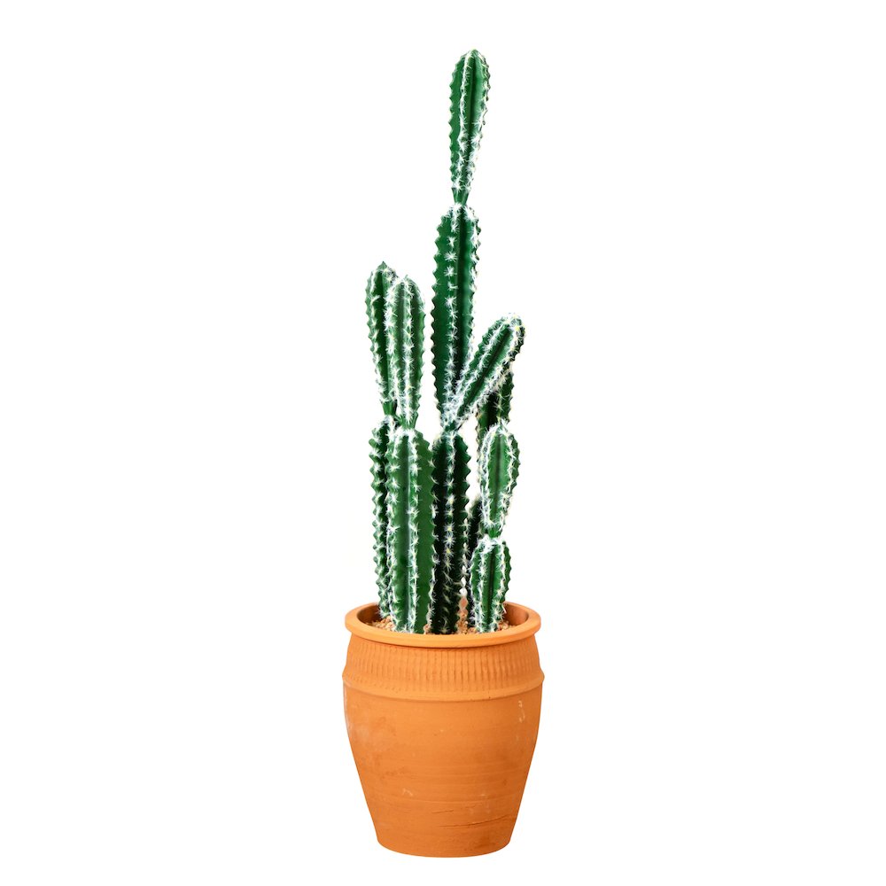 41in. Artificial Cactus in Terracotta Planter. Picture 6