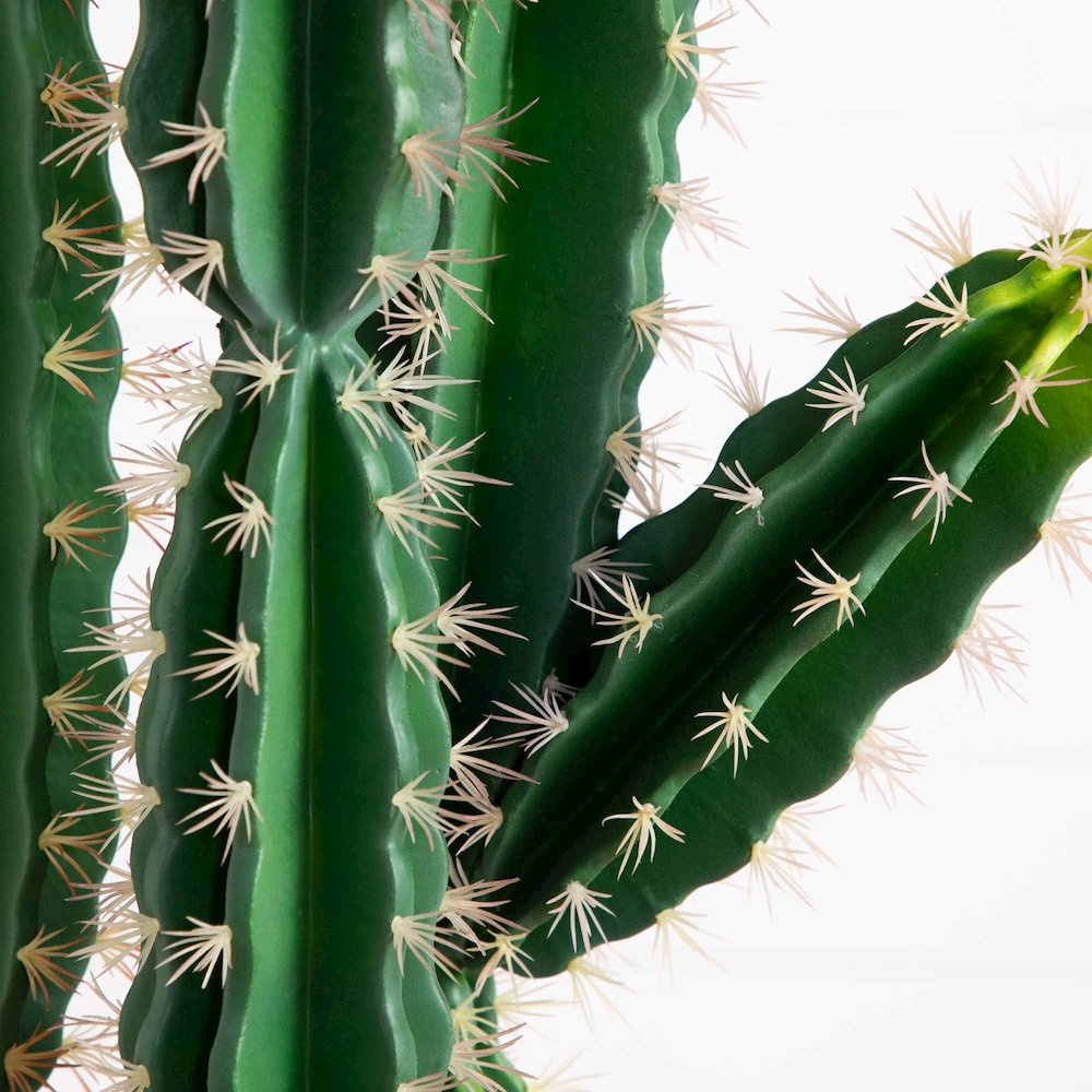 5ft. Artificial Cactus in Terracotta Planter. Picture 6