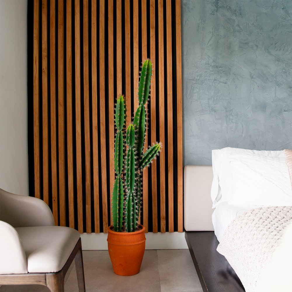 5ft. Artificial Cactus in Terracotta Planter. Picture 4
