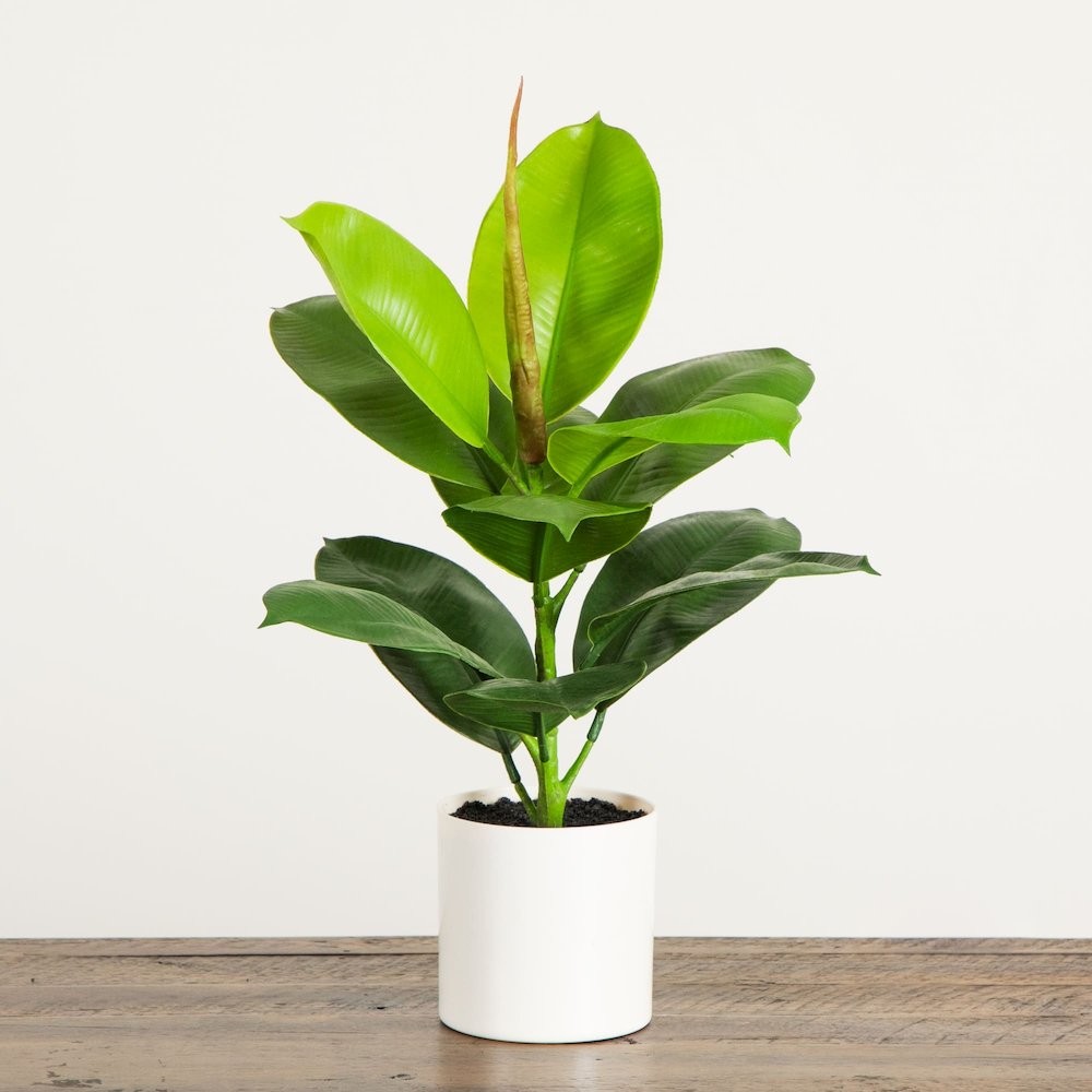 20in. Artificial Fiddle Leaf Fig Plant. Picture 3
