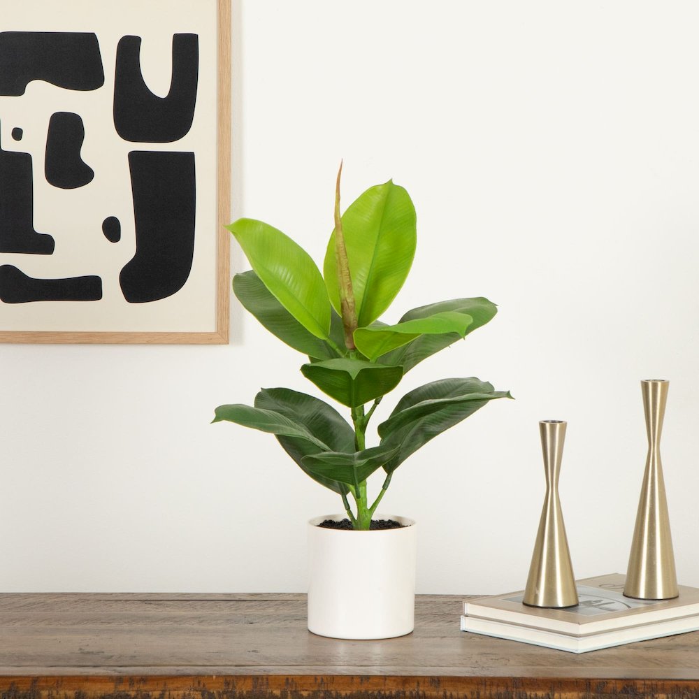 20in. Artificial Fiddle Leaf Fig Plant. Picture 5